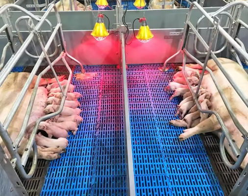 Griglie per pavimenti in fibra di vetro ad alta resistenza Griglie stampate in FRP per polli di maiale e pecore
