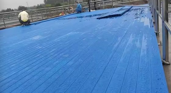 Copertura del serbatoio delle acque reflue resistente alla corrosione Frp Grp Per ingegneria dei sistemi di trattamento delle acque reflue