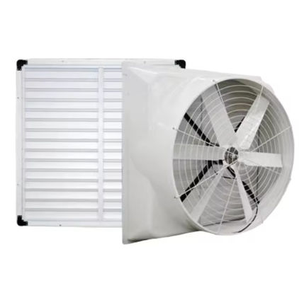 Ventilatore a pressione negativa FRP a parete Ventilazione a tetto Ventilatore di scarico in fibra di vetro