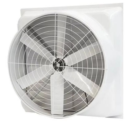 Ventilatore a pressione negativa FRP a parete Ventilazione a tetto Ventilatore di scarico in fibra di vetro